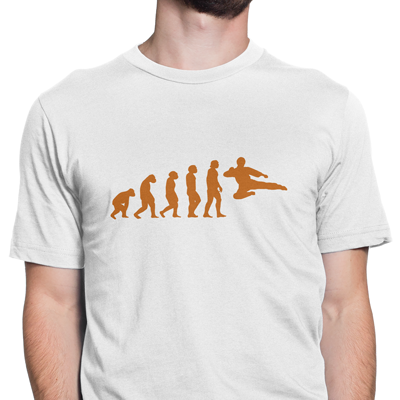 evolução artes marciais evolução artes marciais